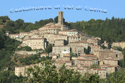Il paese di Castelnuovo di Val di Cecina tra le verdi colline toscane